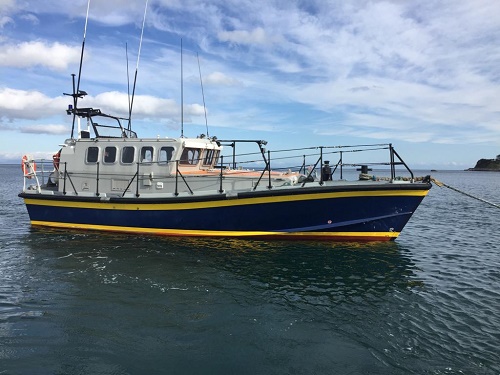 168122:- CREW/PILOT BOAT BUILT 1991 EX LIFEBOAT | Sc Chambers